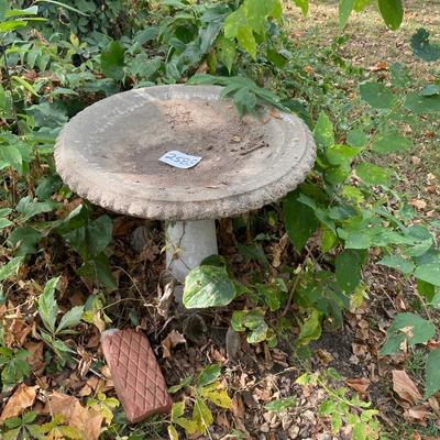 Bird Bath