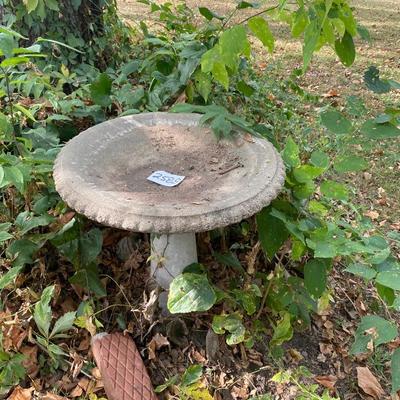 Bird Bath