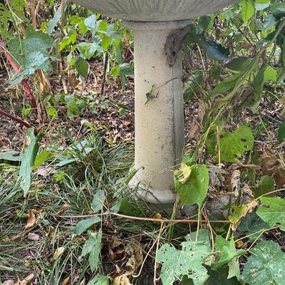 Bird Bath East of House
