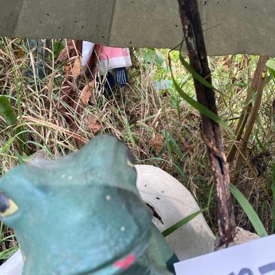 Frog Yard Decor