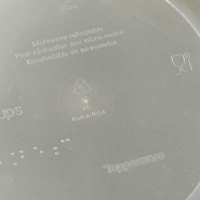 Tupperware Microwave Lunch/Dinner Container