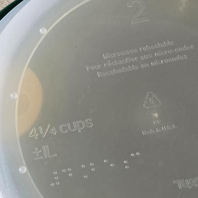 Tupperware Microwave Lunch/Dinner Container