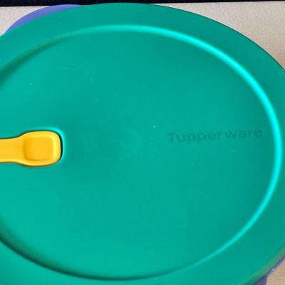 Tupperware Lunch or Dinner Container