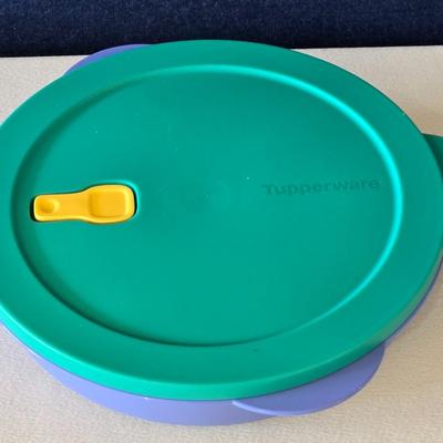Tupperware Lunch or Dinner Container