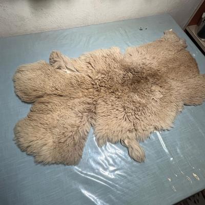 Lot 471 Sheep pelt