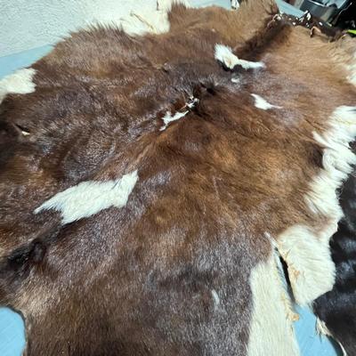 Lot 472 Pelts