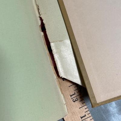 Lot 578 Trial Lawyer autobiography