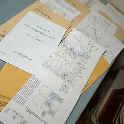 Lot 584 older Colorado maps