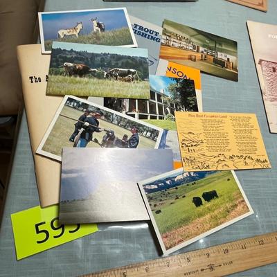 Lot 595 History booklets