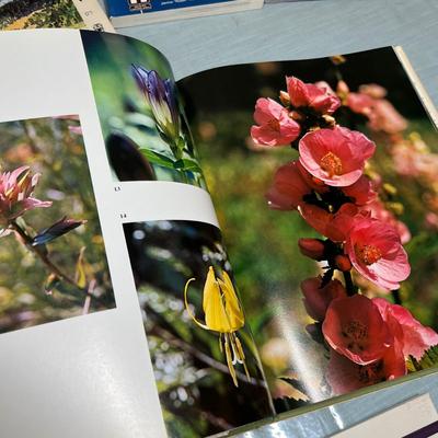 Lot 605 High west & Colorado history