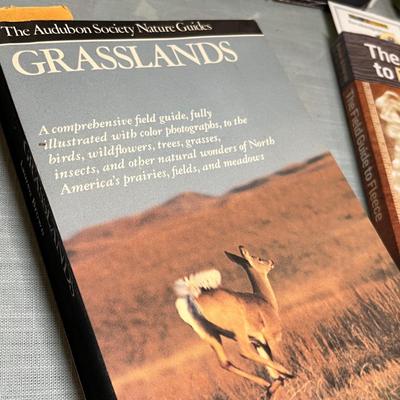 Lot 636 Books on history