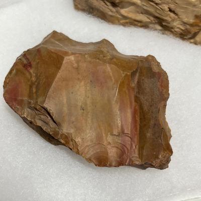 Lot 638 Petrified wood