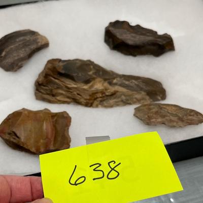 Lot 638 Petrified wood