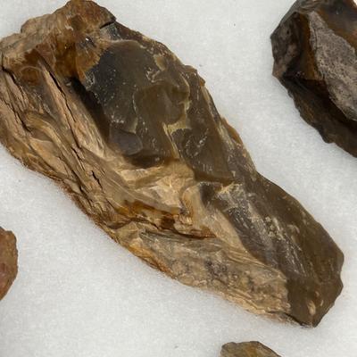 Lot 638 Petrified wood