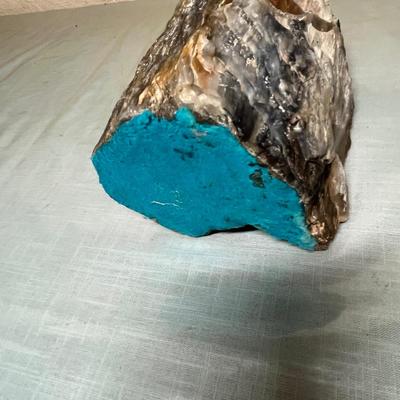 Lot 643 Large "log" of petrified wood