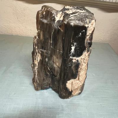 Lot 643 Large "log" of petrified wood