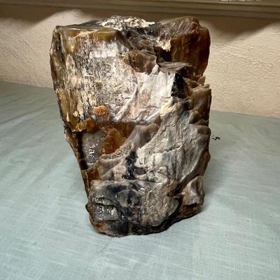 Lot 643 Large "log" of petrified wood