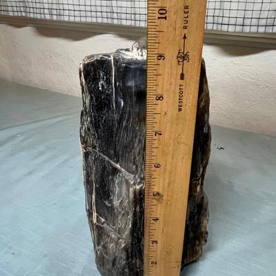 Lot 643 Large "log" of petrified wood