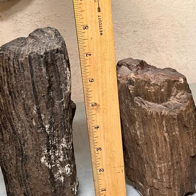 Lot 644 Petrified Wood