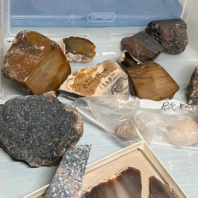 Lot 648 Rock specimines