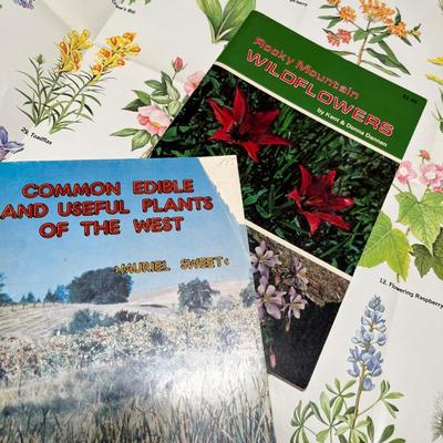 Lot 676 books on nature