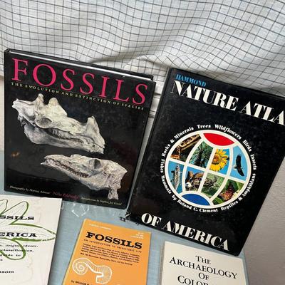 Lot 678 Books on rocks