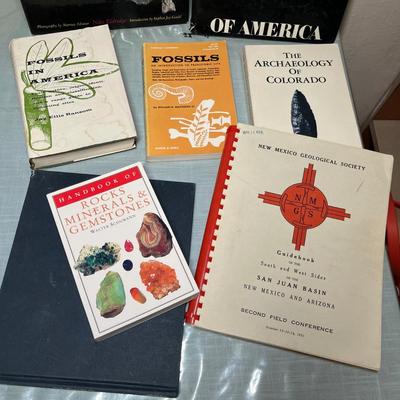 Lot 678 Books on rocks