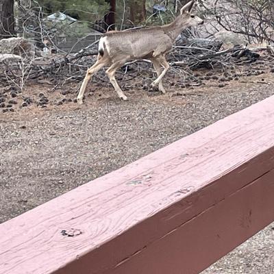 lot 743 Nothing to see here...sorry.