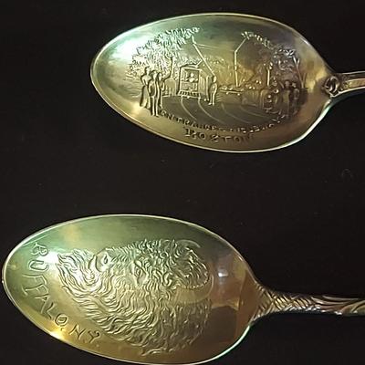 Sterling Silver Souvenir Spoons (DR-BBL)