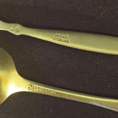 Sterling Silver Souvenir Spoons (DR-BBL)