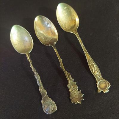 Sterling Silver Souvenir Spoons (DR-BBL)