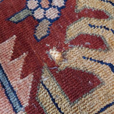 Pande Cameron Wool 12’ x 8’ Area Rug (DR-BBL)