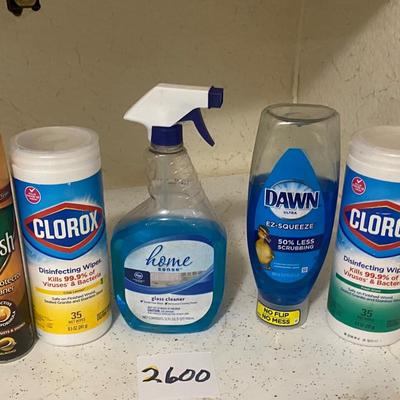 Household Lot