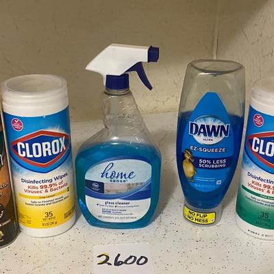 Household Lot
