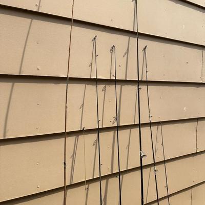 A VARIETY OF FISHING POLES