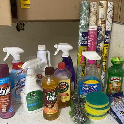 Household Lot