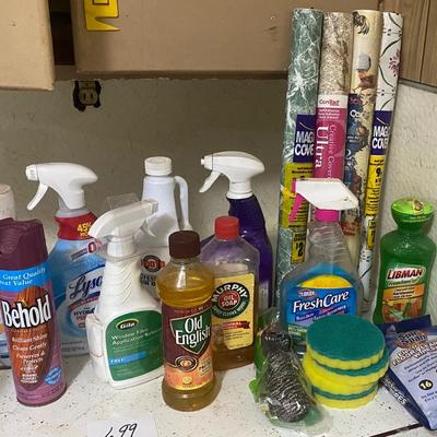 Household Lot
