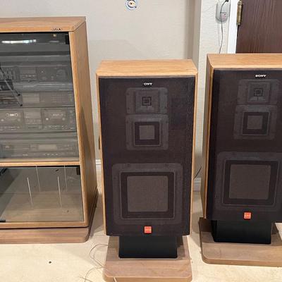 Entertainment Audio Sound System