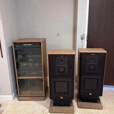 Entertainment Audio Sound System