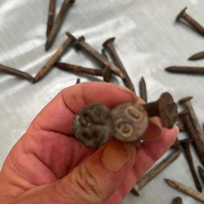 Lot 795 RR Date Nails