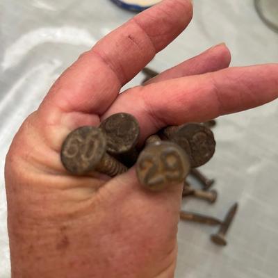 Lot 795 RR Date Nails