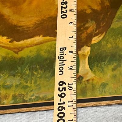 Lot 812 Cattle Pictures