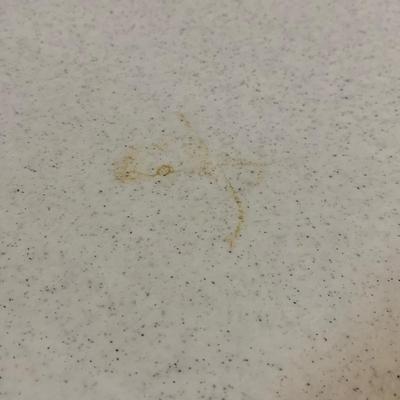 Two 6’ Lifetime Folding Tables (2R/C-HS)