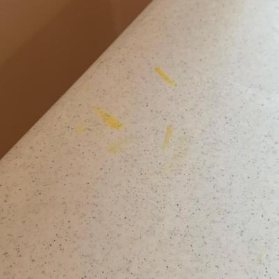 Two 6’ Lifetime Folding Tables (2R/C-HS)