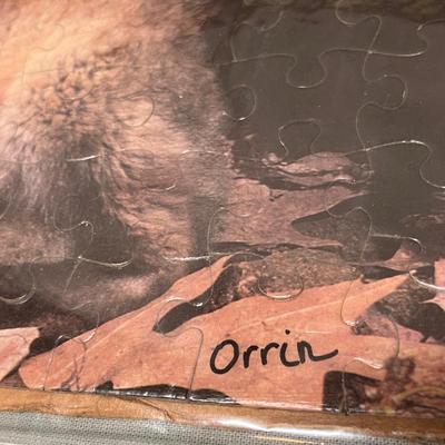 Lot 841 Wild life prints