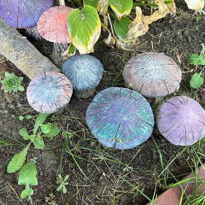 CONCRETE MUSHROOMS AND A LITTLE GIRL YARD ART