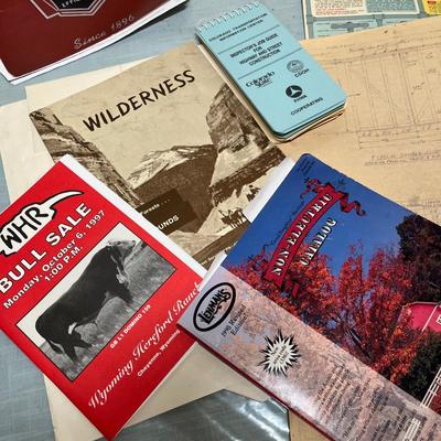 Lot 894 Assorted advertising