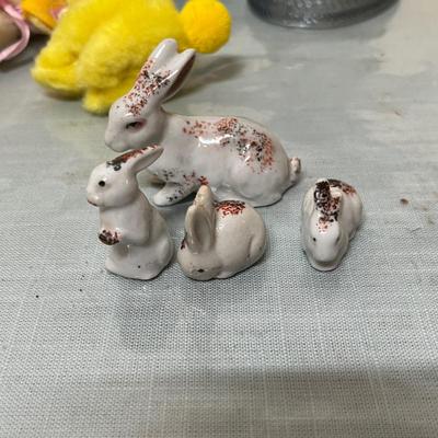 Lot 905 Rabbits