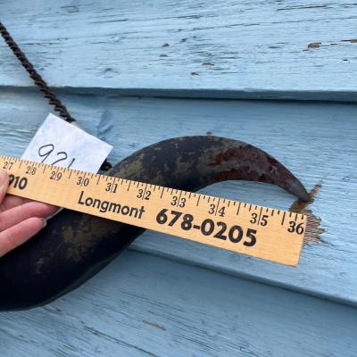 Lot 921 CI Wall Decor