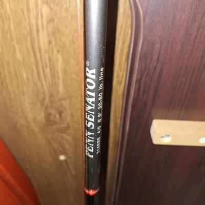 Fishing POle- Penn Senator Rod